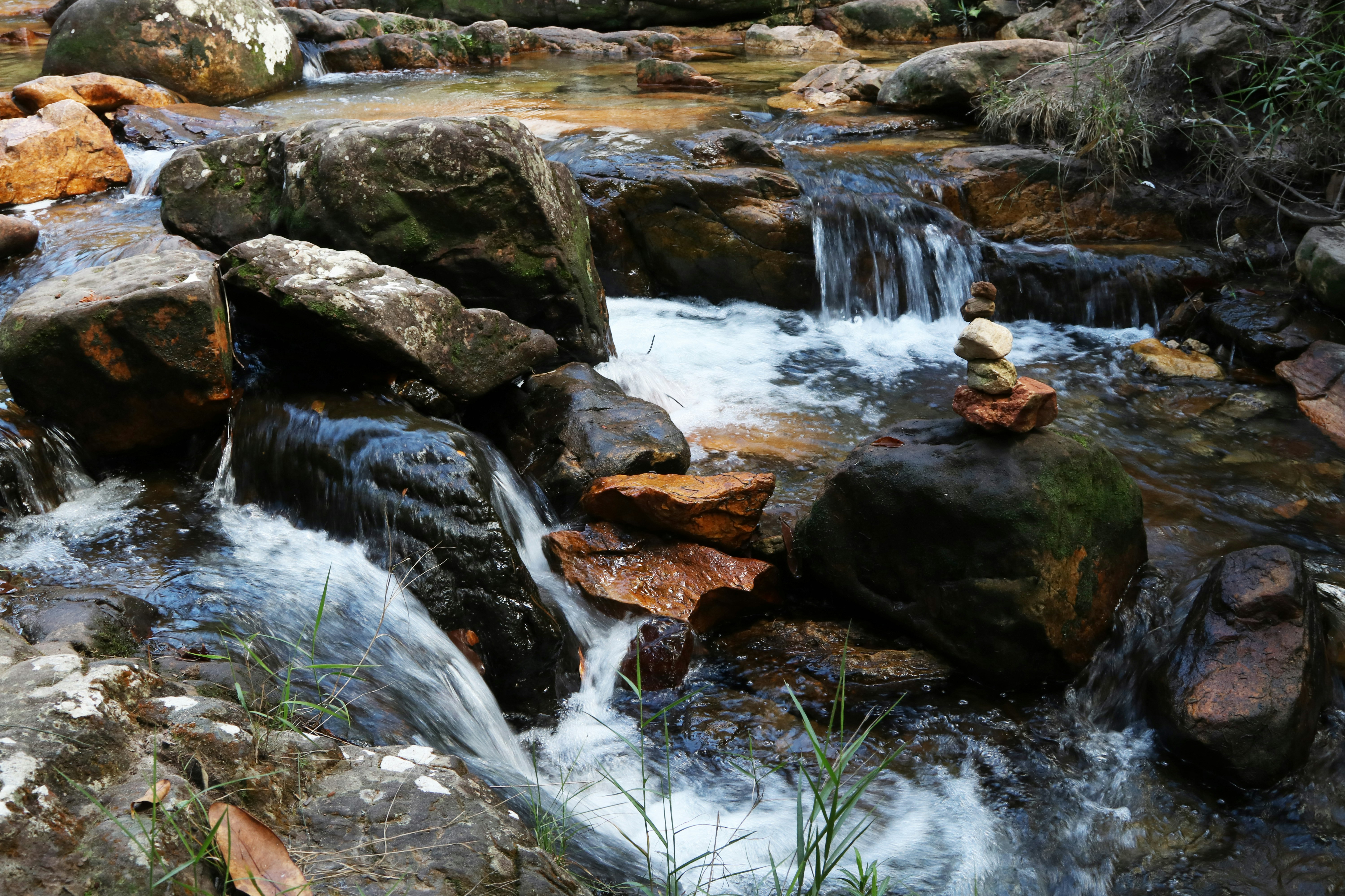 close-up photography of river during daytime